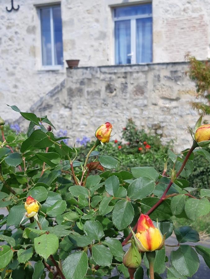 grande girondine aux portes du perigord Bonneville-et-Saint-Avit-de-Fumadières Extérieur photo
